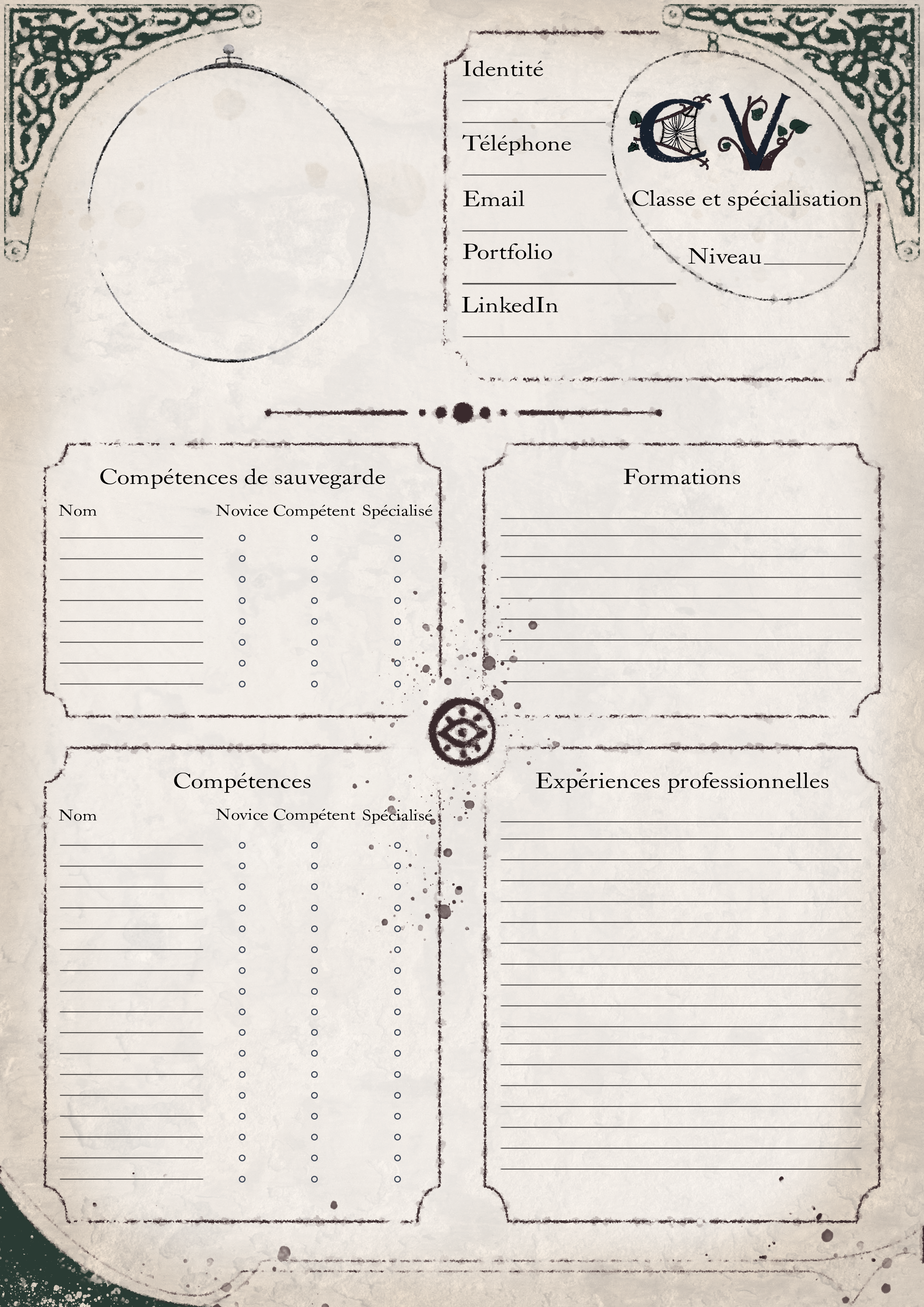 CV sur le thème des chroniques de Felvisor